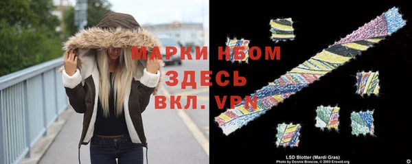 сатива Горно-Алтайск