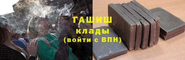гидра Горнозаводск