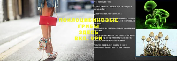 сатива Горно-Алтайск
