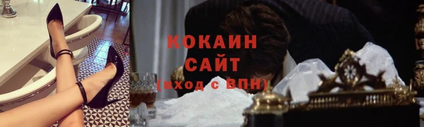 сатива Горно-Алтайск
