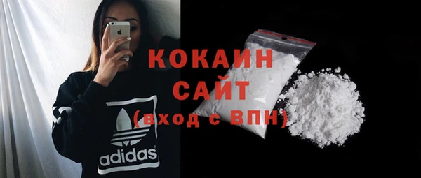 гидра Горнозаводск