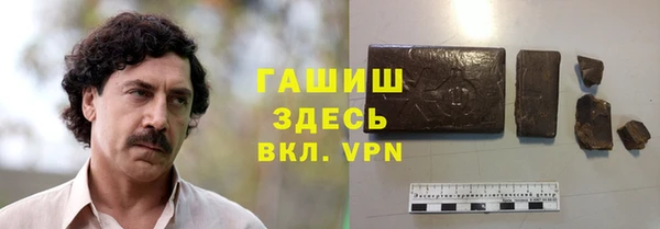 гидра Горнозаводск
