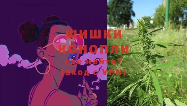 сатива Горно-Алтайск