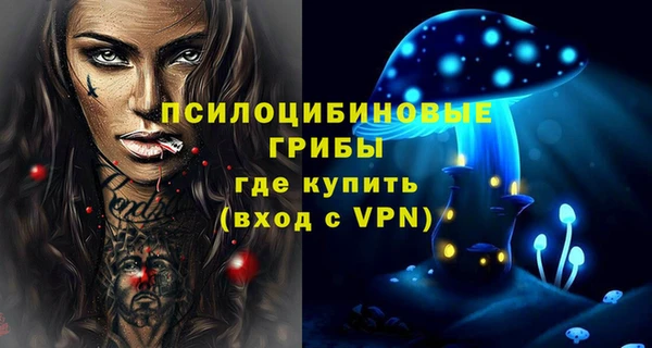 сатива Горно-Алтайск