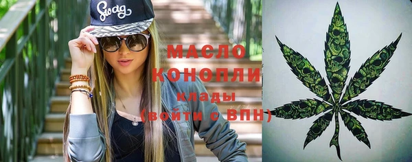 гидра Горнозаводск
