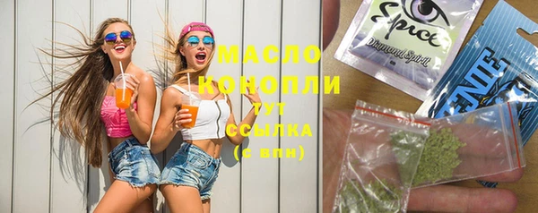 гидра Горнозаводск