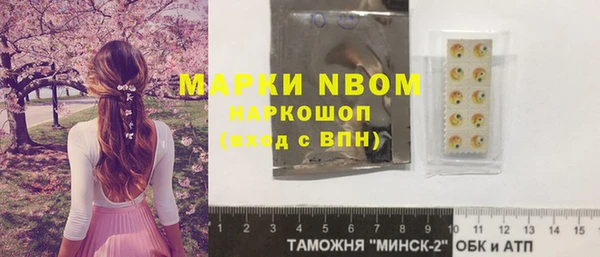 гидра Горнозаводск