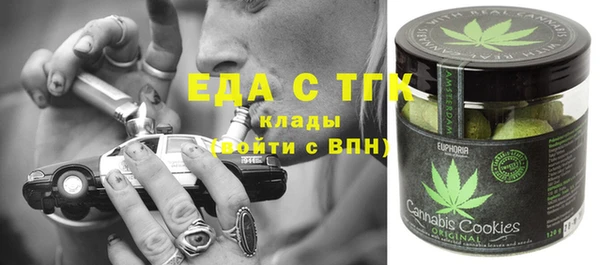 гидра Горнозаводск