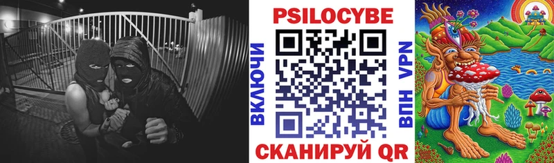 mega   Петухово  мориарти Telegram  Псилоцибиновые грибы Psilocybe 